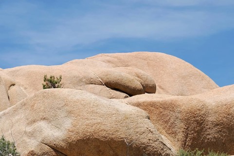 Monzogranite formations, Joshua Tree National Park, Palm Desert, Southern California, USA, North