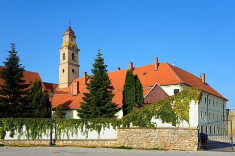 Elegant monastery with ivy and a tower surrounded by conifers against a blue sky, Franciscan Church