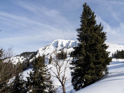 Winter landscape, view to the Schafberg, Sankt Wolfgang am Wolfgangsee, Salzkammergut, Upper
