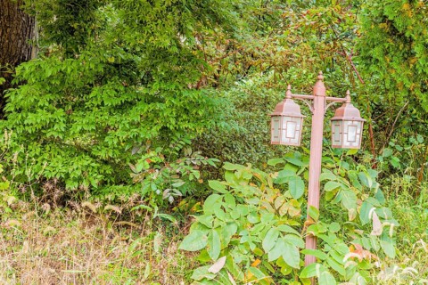 Lamppost with two lights in wilderness area with green bushes in background