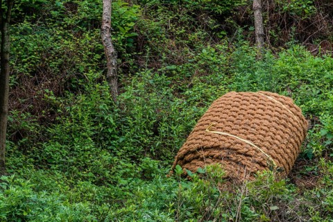 Closeup of thatch rope mat laying rolled up on ground in South Korea