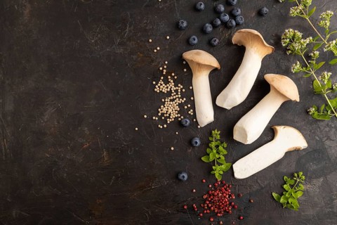 King Oyster mushrooms or Eringi (Pleurotus eryngii) on black concrete background with blueberry,