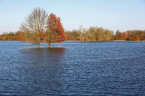 Winter floods 2024 on the Elbe and Mulde rivers with flooding of the meadows, ice on the meadows