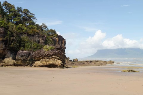 Cliff in Bako national park, sunny day, blue sky and sea. Vacation, travel, tropics concept, no
