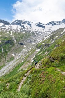 Mountaineer on hiking trail in picturesque mountain landscape with blooming alpine roses, in the