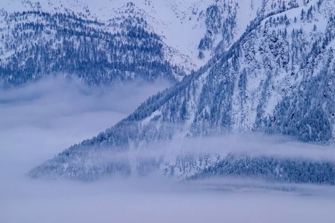 Snow-covered mountains with wafts of mist between the treetops, Belalp, Naters, Brig, Canton