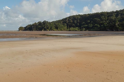 Bako national park, sea sandy beach, sunny day, blue sky and sea. Vacation, travel, tropics