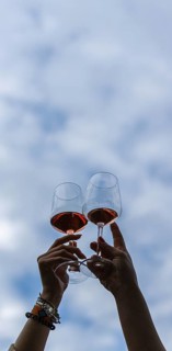 Vertical image of the hands of a young female couple toasting with wine glasses