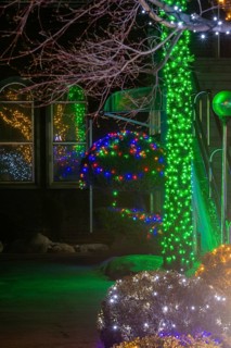 Reflections in windows of Christmas lights on sculpted evergreen trees next to concrete stairway in