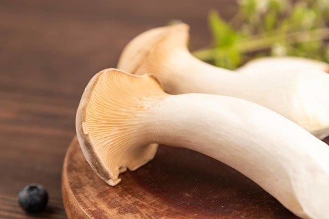 King Oyster mushrooms or Eringi (Pleurotus eryngii) on brown wooden background with blueberry,