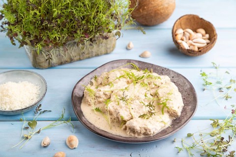 Stewed chicken fillets with coconut milk sauce and mizuna cabbage microgreen on blue wooden