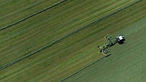 Farmer cutting grass to straight rows with tractor and large roundabout rake, drone shot, Upper