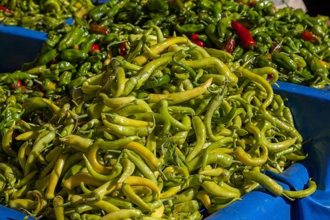 Green chillies on a market stall, Oezdere, Izmir province, Aegean region, Turkey, Asia
