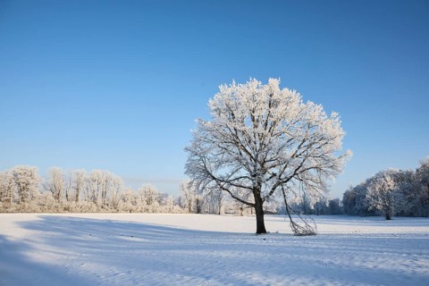 Snowy winter landscape near Polling an der Ammer. Polling, Paffenwinkel, Upper Bavaria, Germany,