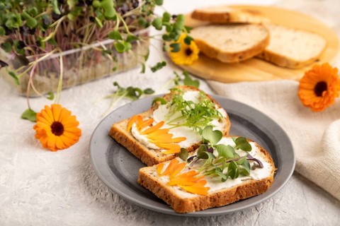 White bread sandwiches with cream cheese, calendula petals and microgreen radish and tagetes on