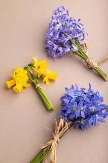 Spring snowdrop flowers bluebells, narcissus on beige pastel background. side view, close up, still