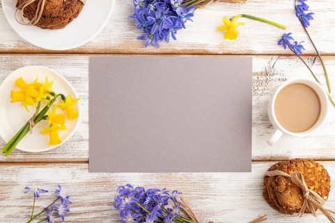 Gray paper sheet with oatmeal cookies, spring snowdrop flowers bluebells, narcissus and cup of