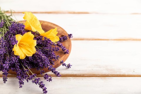 Beautiful day lily and lavender flowers on white wooden background, side view, close up, selective