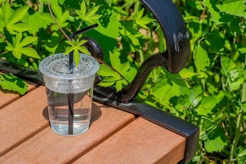 Single use plastic cup and straw left on wooden bench in public park on sunny day in Sintanjin,