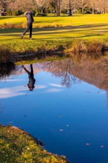 Male Golfer Reflected in a Water Pond and Hitting the Golf Ball on Fairway on Golf Course with