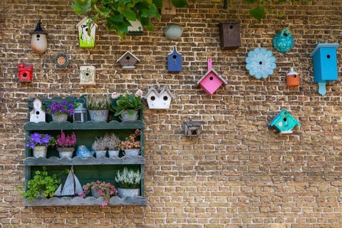 Flower shelf and birdhouse on a house wall, De Waal, Texel, North Holland, Netherlands
