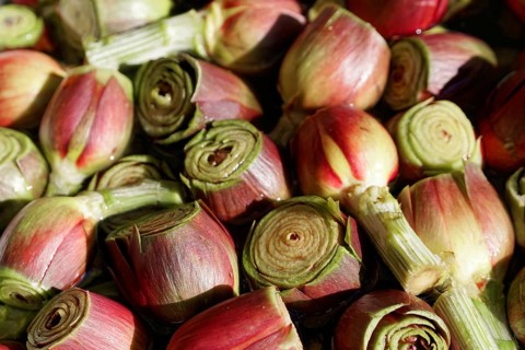 Artichokes, Rialto market, Rialto, Venice, Veneto, Italy, Europe
