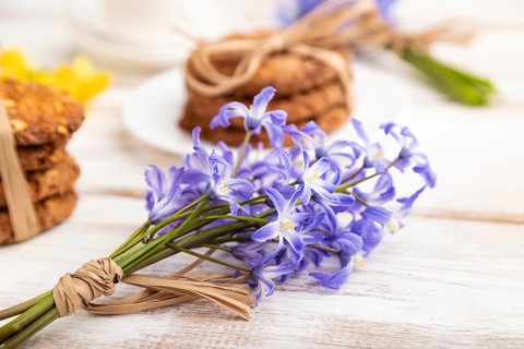 Oatmeal cookies with spring snowdrop flowers bluebells, narcissus and cup of coffee on white wooden