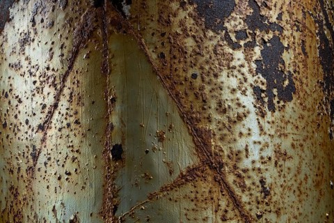 Rusty steel, abandoned herring factory Djupavik, Reykjarfjoerour, Strandir, Arnes, Westfjords,
