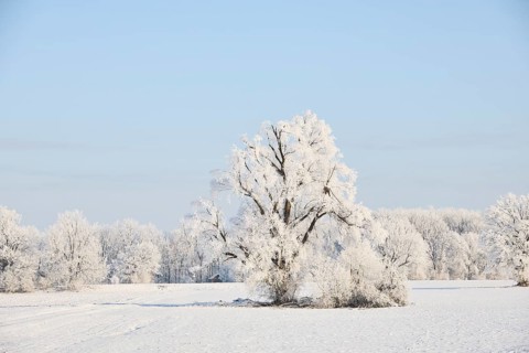 Snowy winter landscape near Polling an der Ammer. Polling, Paffenwinkel, Upper Bavaria, Germany,
