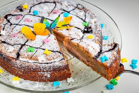 Succulent cake with butterfly decoration and colourful sprinkles on a glass plate, white base