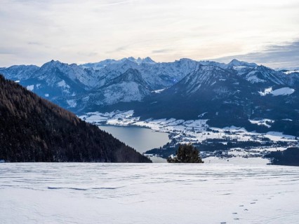 Winter mood, snow-covered landscape, snow-covered alpine peaks, view from the Schafbergalm to Lake