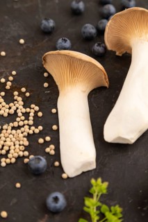 King Oyster mushrooms or Eringi (Pleurotus eryngii) on black concrete background with blueberry,