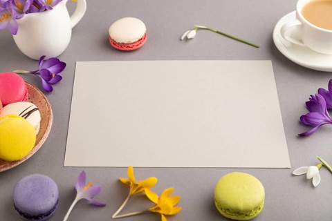 Beige paper sheet mockup with spring snowdrop crocus flowers and multicolored macaroons on gray