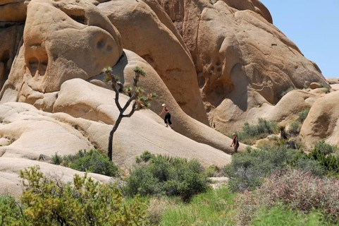 Monzogranite formations, Joshua Tree National Park, Palm Desert, Southern California, USA, North