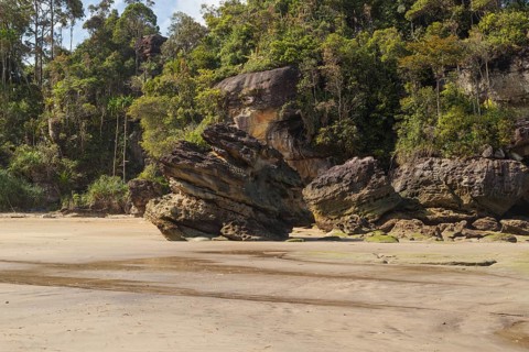 Cliff in Bako national park, sunny day, blue sky and sea. Vacation, travel, tropics concept, no