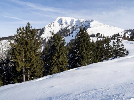 Winter landscape, view to the Schafberg, Sankt Wolfgang am Wolfgangsee, Salzkammergut, Upper