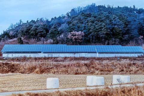 Large array of solar panels setup in countryside in front of hillside covered in lush foliage under