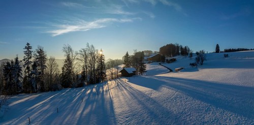 Sun shining through bare trees, snowy winter landscape on the Brunnersberg, Solothurn, Switzerland,