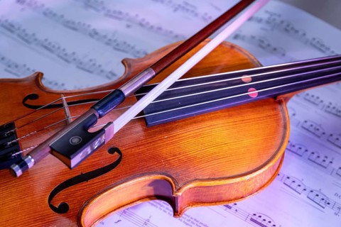 Viola with bow and music book in front of a monochrome background, studio photograph, Germany,