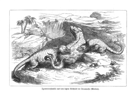 Iguanodon, dinosaur, lizard, mother with two young animals, animal family in a wild, natural