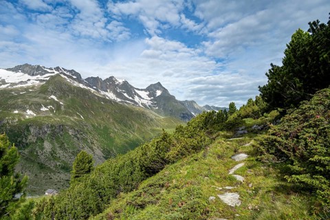 Hiking trail in a picturesque mountain landscape, Berliner Hoehenweg, Zillertal Alps, Tyrol,