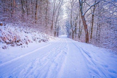Hiking trails covered with snow in the mixed forest on the Kernberge in Jena in winter, Jena,