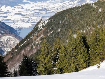 Winter atmosphere, snowy landscape, view from the Schafbergalm to the Mondsee, near St. Wolfgang,