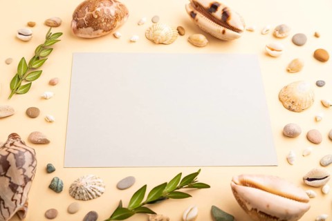 Composition with gray paper sheet, seashells, pebbles, green boxwood. mockup on orange background.
