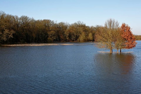 Winter floods 2024 on the Elbe and Mulde rivers with flooding of the meadows, ice on the meadows