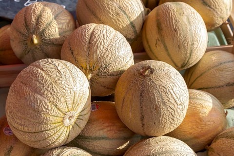 Cantaloupe melons, market stall, market sale, Pleubian, Brittany, France, Europe