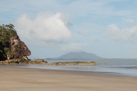 Cliff in Bako national park, sunny day, blue sky and sea. Vacation, travel, tropics concept, no