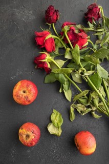 Withered, decaying, roses flowers and apples on black concrete background. top view, flat lay,