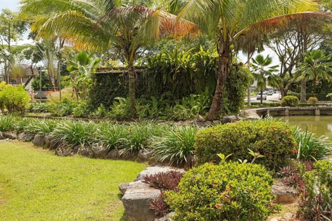 Palm collection in city park in Kuching, Malaysia, tropical garden with large trees and lawns,