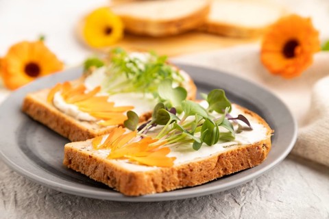 White bread sandwiches with cream cheese, calendula petals and microgreen radish and tagetes on